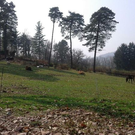 Agriturismo Villa Brugolta لافينا بونتي تريسا المظهر الخارجي الصورة