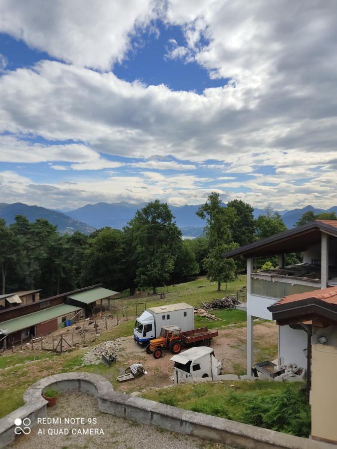 Agriturismo Villa Brugolta لافينا بونتي تريسا المظهر الخارجي الصورة