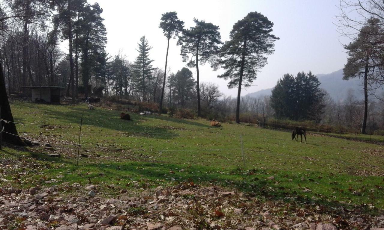 Agriturismo Villa Brugolta لافينا بونتي تريسا المظهر الخارجي الصورة